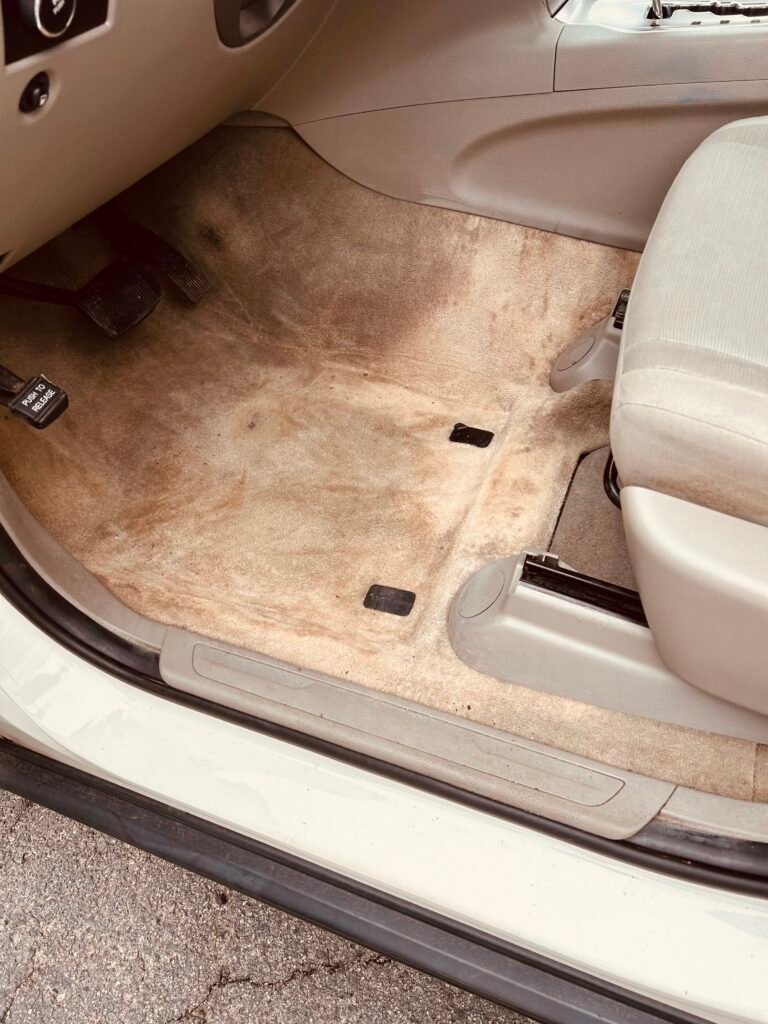 Auto Detailing Augusta GA - Carpet dye before