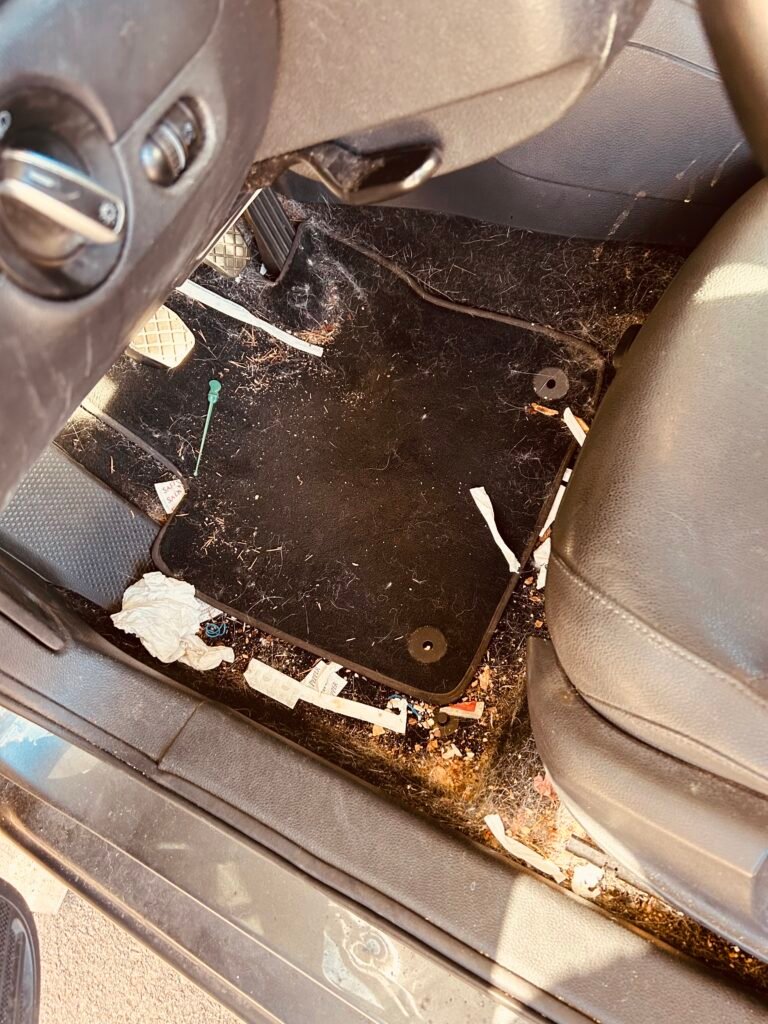 Auto Detailing Augusta GA - VW-before